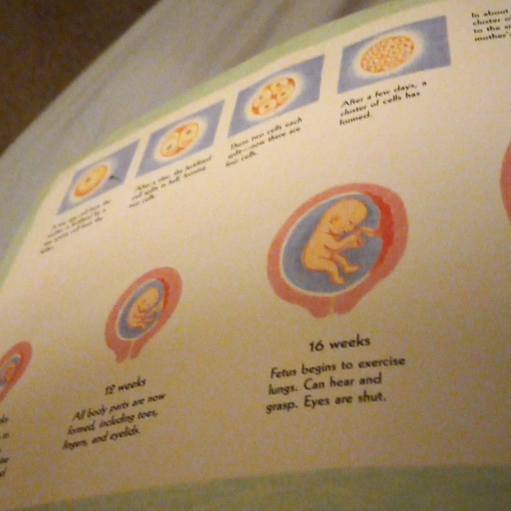 2 Children's Books: Take Me Out of the Bathtub & Hello Baby